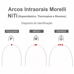 Arco Intraoral Curva Reversa Spee Super Elástico G Niti 0.43x0.63Mm.0.17x.0.25 5062022 - Morelli